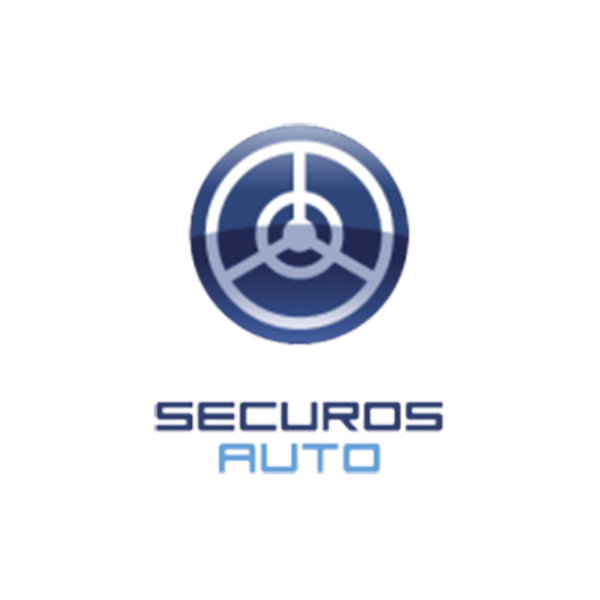 Licencia LPR SecurOS Auto
