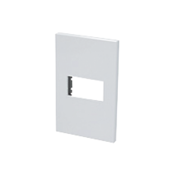 Placa de policarbonato con base de acero para 1 módulo 1/3 color blanco. - SURTEK SYS-P600B. Videovigilancia SURTEK SYS-P600B